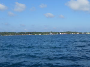DSCN0211