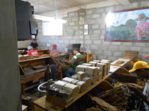 Visiting a cigar factory in the Dominican Republic