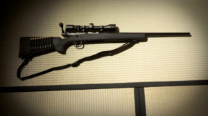 armory-savage_bolt_gun-small