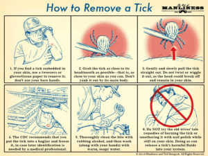 Remove-a-Tick-1