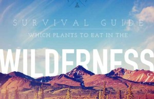 WildernessSurvivalGuide-620x400