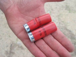 SHTFblog_Survival_Cache_SHTF_BOB_best-HR_12_GA_American-Eagle_W-W-Shotgun_shell_cut_shells_camo_TEOTWAWKI_Best_survival