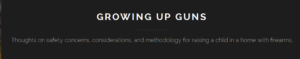 FireShot Screen Capture #066 - '10 Rules for Being a Safe Gun-O_' - growingupguns_wordpress_com_2015_10_30_10-rules-for-being-a-safe-gun-owning-parent