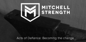 FireShot Screen Capture #074 - 'Acts of Defiance_ Becoming the change — Mitchell Strength' - www_mitchellstrength_co_za_blog_2015_11_9_acts-of-defianc