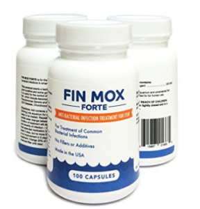 fireshot-screen-capture-066-amazon_com-_-fin-mox-forte-500mg-_-100-capsules-for-fish-_-pet-supplies-www_amazon_com_fin-forte-500mg-capsules-f