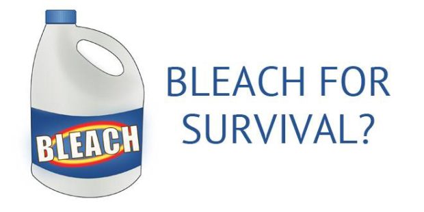 bleach-survival-logo