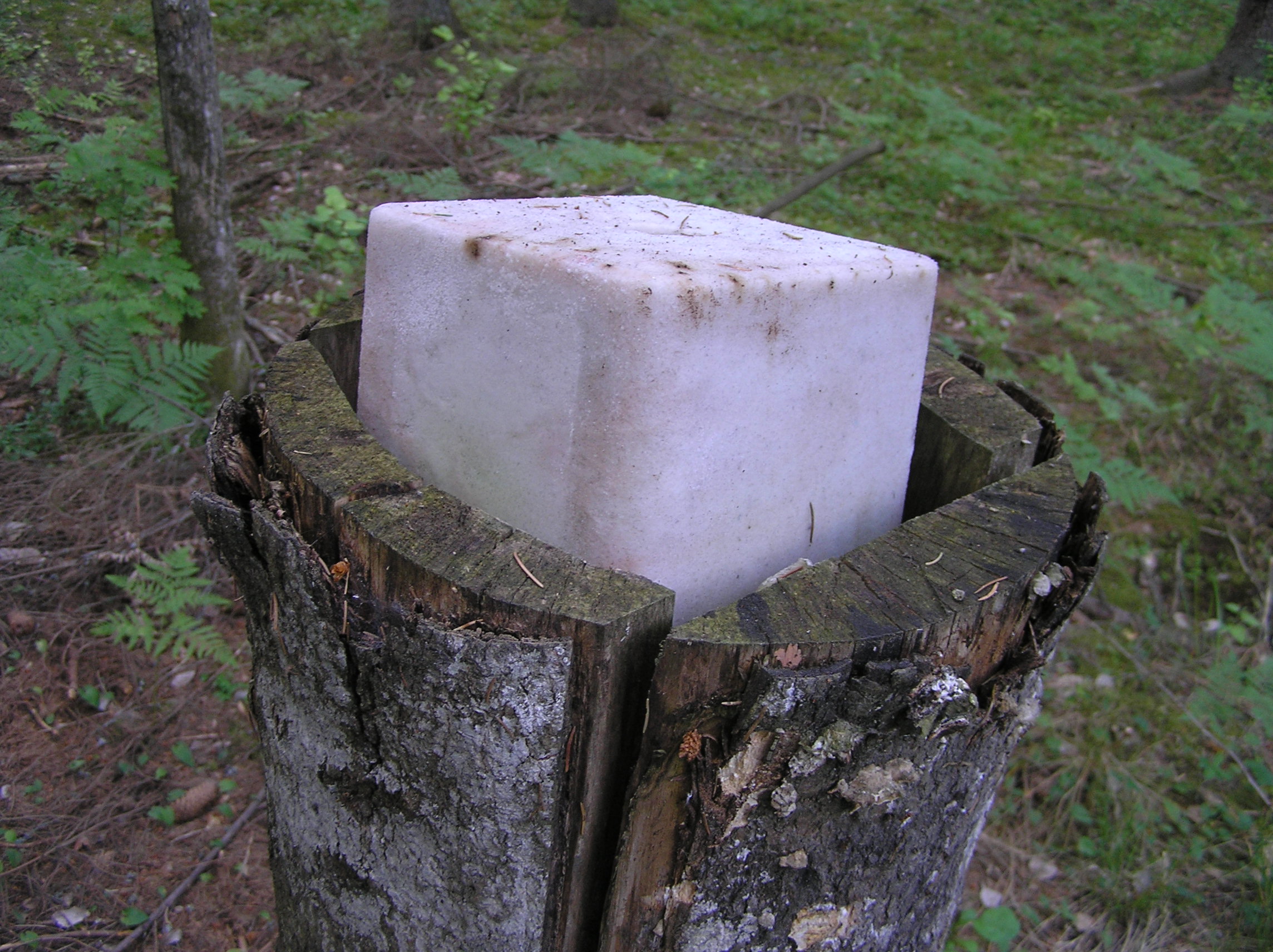 Active Killer Salt Licks Active Response Training